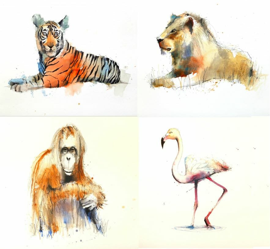 Ian Fennelly animal sketching course